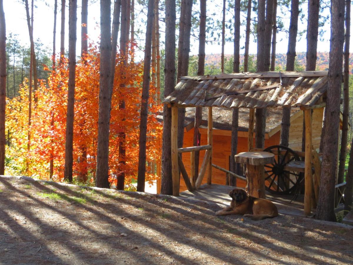 La Maison Sous Les Arbres Saint Roch de Mekinac Exterior foto